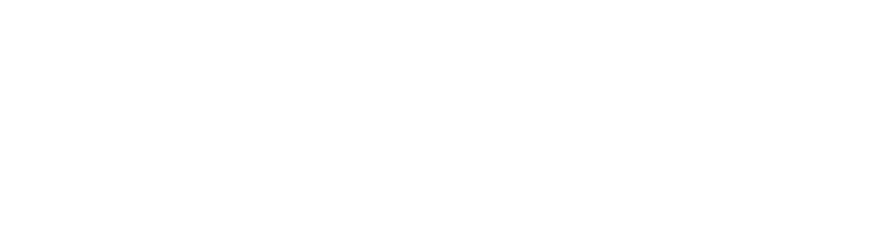 The Fashion Pick